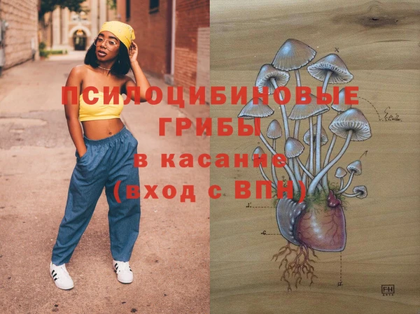 не бодяженный Арсеньев